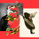 Illustration for article titled John James Audubon Was Never Good